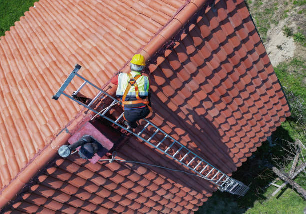 Best Gutter Installation and Repair  in Cactus, TX